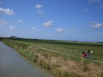 raid2 009.jpg